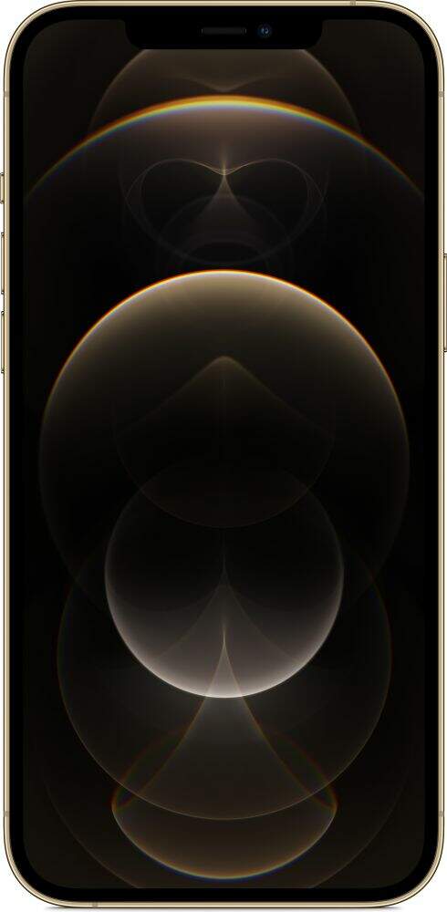 iPhone 12 pro max gold itya sk- 2